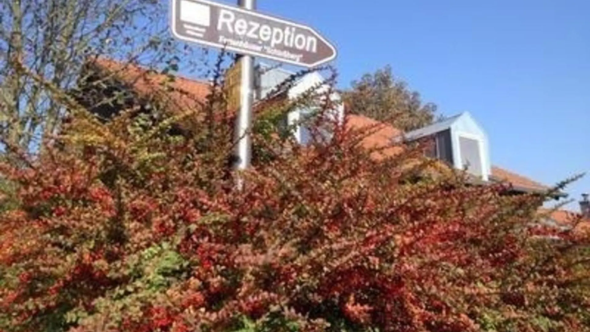Ferienhaus In Zandt Mit Grill, Garten Und Terrasse Holiday home